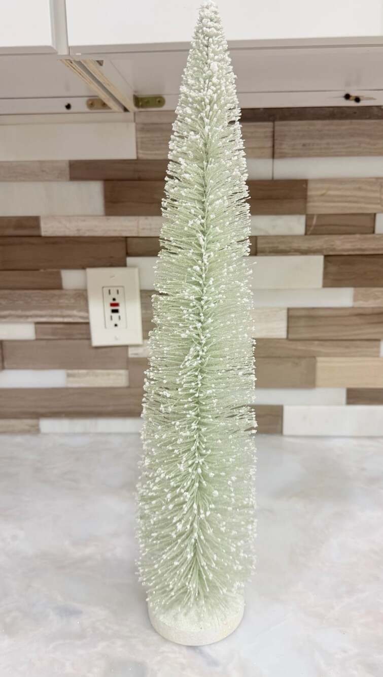 Bottle Brush Tree 19